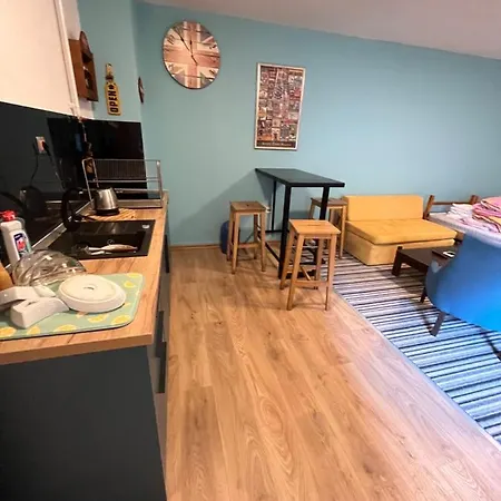 Studio Karpuzova With Garden And Free Parking Διαμέρισμα