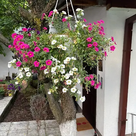 Διαμέρισμα Studio Karpuzova With Garden And Free Parking